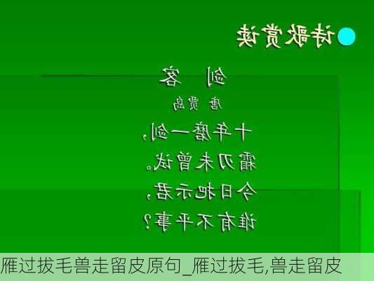 雁过拔毛兽走留皮原句_雁过拔毛,兽走留皮