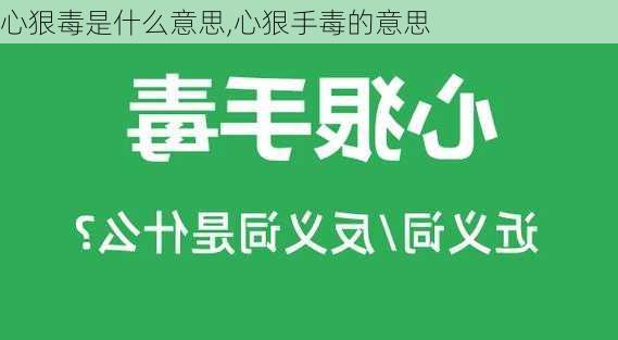 心狠毒是什么意思,心狠手毒的意思