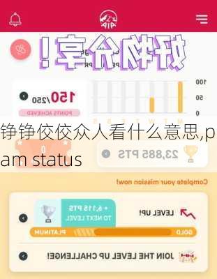 铮铮佼佼众人看什么意思,program status