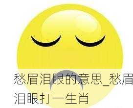 愁眉泪眼的意思_愁眉泪眼打一生肖