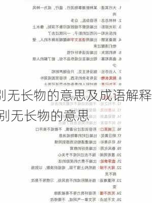 别无长物的意思及成语解释,别无长物的意思