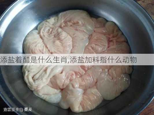 添盐着醋是什么生肖,添盐加料指什么动物