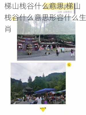 梯山栈谷什么意思,梯山栈谷什么意思形容什么生肖