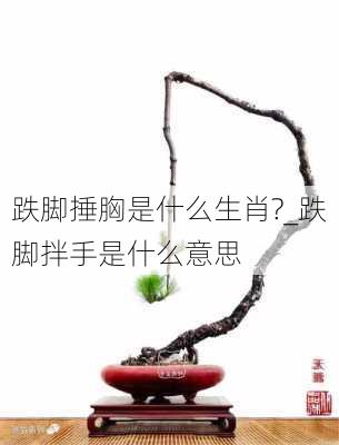 跌脚捶胸是什么生肖?_跌脚拌手是什么意思