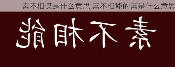 素不相谋是什么意思,素不相能的素是什么意思