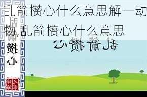 乱箭攒心什么意思解一动物,乱箭攒心什么意思