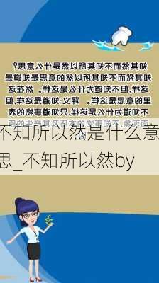 不知所以然是什么意思_不知所以然by