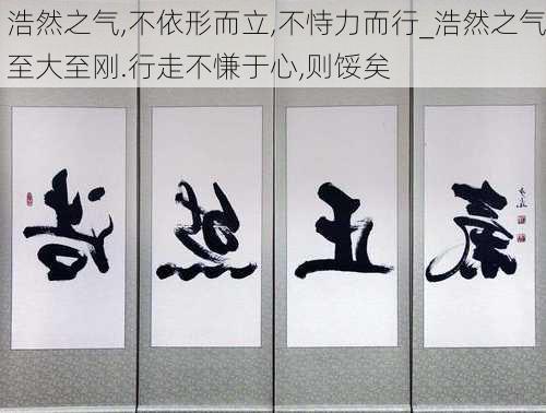 浩然之气,不依形而立,不恃力而行_浩然之气至大至刚.行走不慊于心,则馁矣