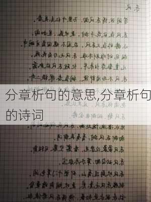 分章析句的意思,分章析句的诗词