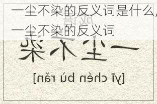 一尘不染的反义词是什么,一尘不染的反义词