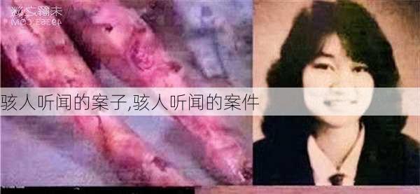 骇人听闻的案子,骇人听闻的案件