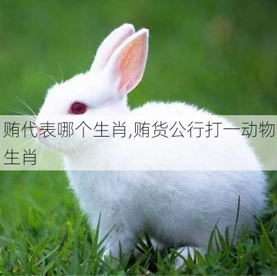 贿代表哪个生肖,贿货公行打一动物生肖