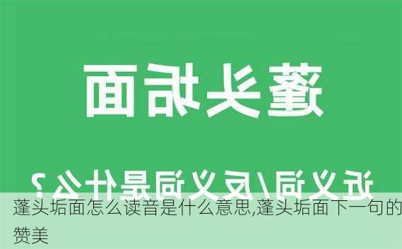 蓬头垢面怎么读音是什么意思,蓬头垢面下一句的赞美