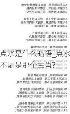 点水是什么暗语_点水不漏是那个生肖?