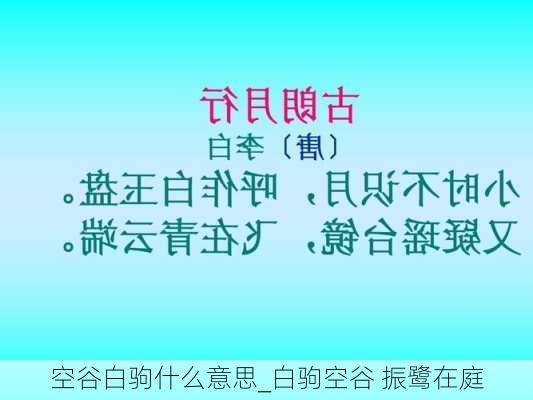 空谷白驹什么意思_白驹空谷 振鹭在庭