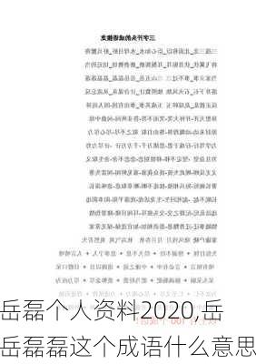 岳磊个人资料2020,岳岳磊磊这个成语什么意思