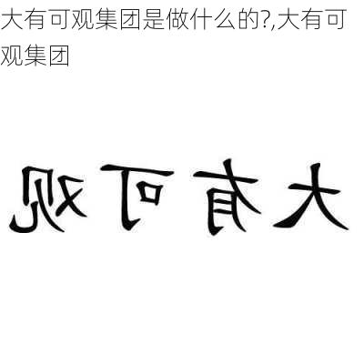 大有可观集团是做什么的?,大有可观集团