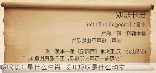 短叹长吁是什么生肖_长吁短叹是什么动物