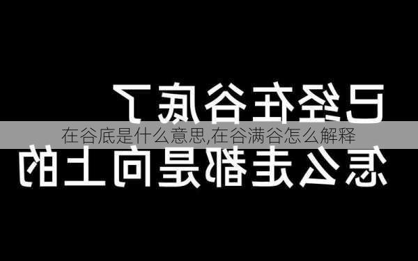 在谷底是什么意思,在谷满谷怎么解释