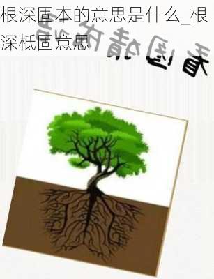 根深固本的意思是什么_根深柢固意思