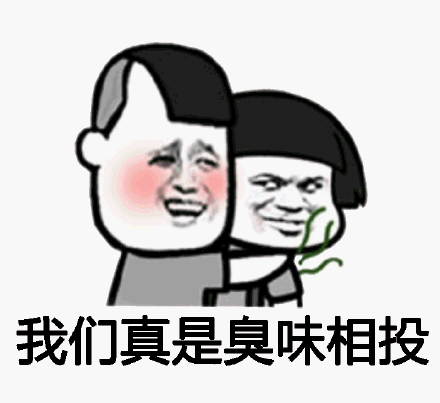 臭味相投是什么意思近义词,臭味相投是什么意思