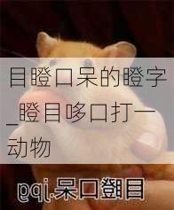 目瞪口呆的瞪字_瞪目哆口打一动物