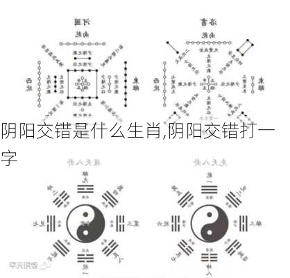 阴阳交错是什么生肖,阴阳交错打一字