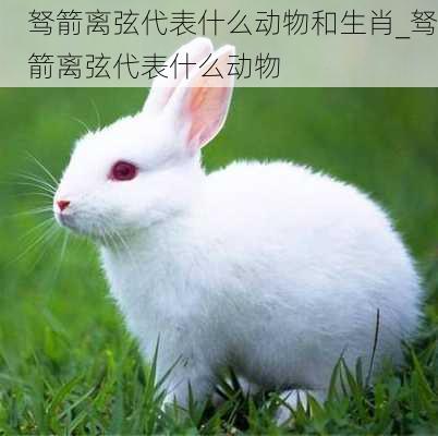 驽箭离弦代表什么动物和生肖_驽箭离弦代表什么动物