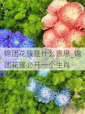 锦团花簇是什么意思_锦团花簇必开一个生肖