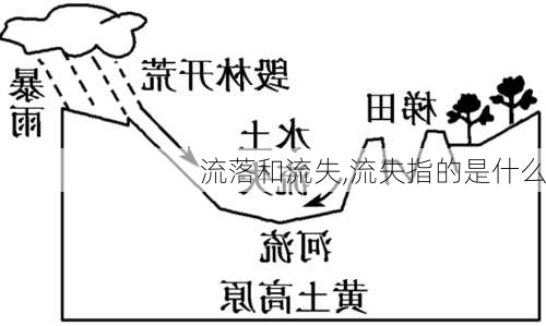 流落和流失,流失指的是什么