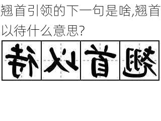 翘首引领的下一句是啥,翘首以待什么意思?