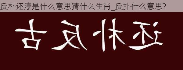 反朴还淳是什么意思猜什么生肖_反扑什么意思?