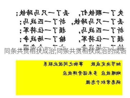 同条共贯相扶成治,同条共贯相扶成治的成语