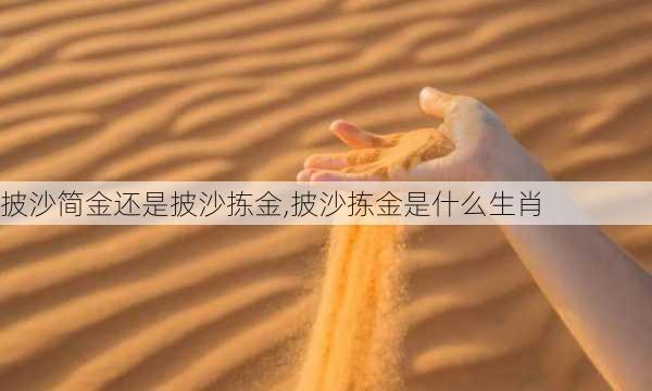 披沙简金还是披沙拣金,披沙拣金是什么生肖