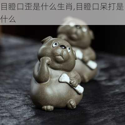 目瞪口歪是什么生肖,目瞪口呆打是什么