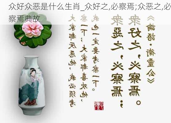 众好众恶是什么生肖_众好之,必察焉;众恶之,必察焉典故