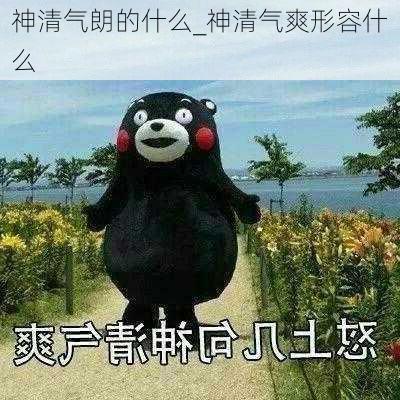 神清气朗的什么_神清气爽形容什么