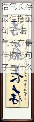 浩气长存最佳搭配句子,浩气长存最佳搭配句子是什么