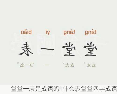 堂堂一表是成语吗_什么表堂堂四字成语